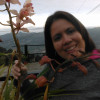 Lucy Bracamonte