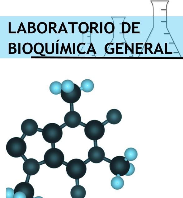 imagen del curso