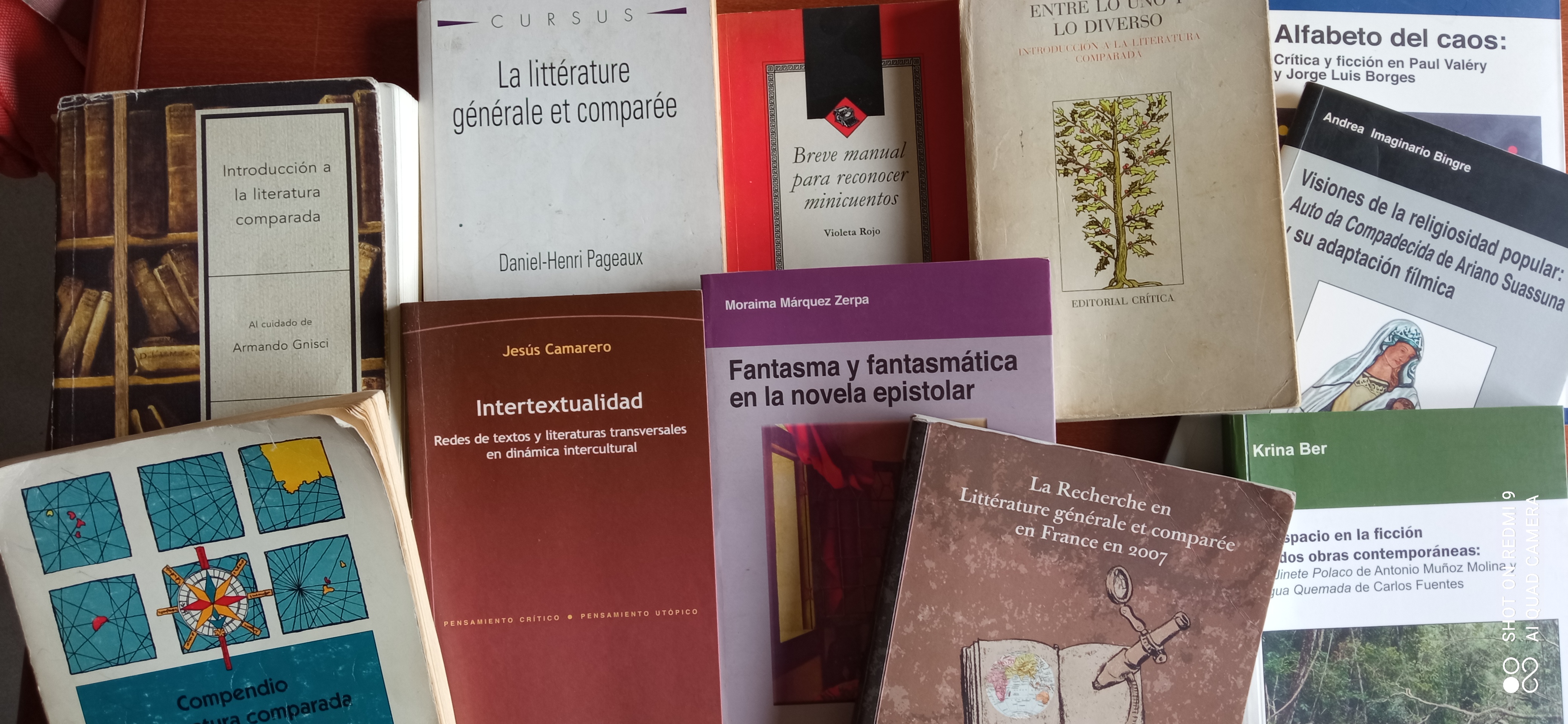 Imagen de portadas de libros de teoría y crítica literaria.